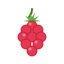 Frambozen